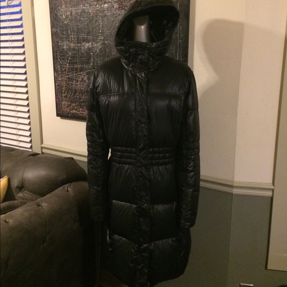 the north face pertex quantum